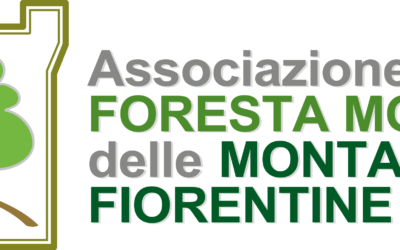 Attenzione: elenco professionisti della Foresta Modello