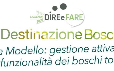 #DestinazioneBosco “Foresta Modello: gestione attiva per la multifunzionalità dei boschi toscani “