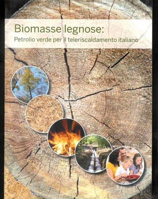 Biomasse legnose: petrolio verde per il teleriscaldamento italiano