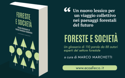 Esce il PICCOLO DIZIONARIO DI GESTIONE FORESTALE SOSTENIBILE: un nuovo lessico per un viaggio collettivo nei paesaggi forestali del futuro. Anche Foreste Modello tra le parole chiave